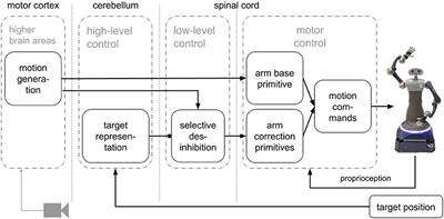 Generating Pointing Motions for a Humanoid Robot by Combining Motor Primitives